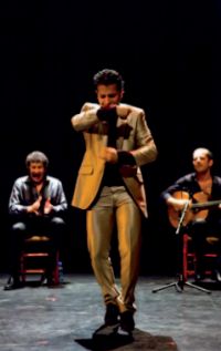 Spectacle Flamenco y Puro. Le jeudi 12 avril 2012 à Strasbourg. Bas-Rhin. 